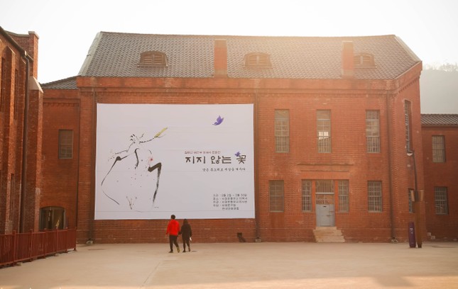 Ngắm những cung đường lá đổi màu vàng ươm tuyệt đẹp ở Seoul ảnh 7