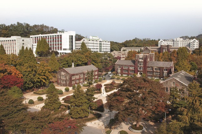 Ngắm những cung đường lá đổi màu vàng ươm tuyệt đẹp ở Seoul ảnh 10
