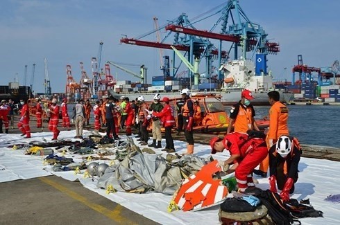 Indonesia ra thông báo ngừng tìm kiếm nạn nhân trong vụ tai nạn máy bay Lion Air ảnh 1
