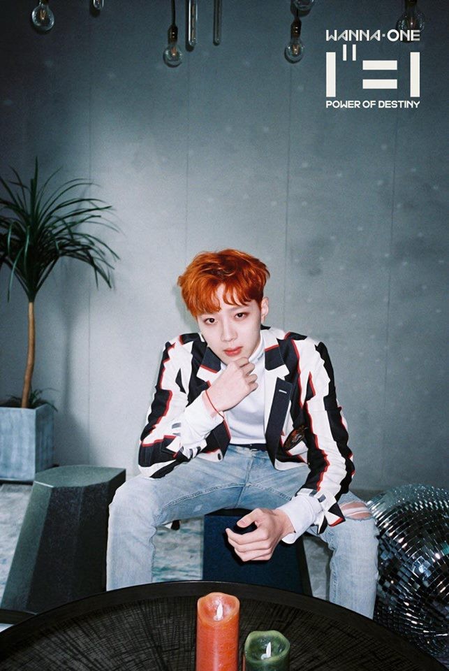 HOT: WANNA ONE đẹp mê mẩn trong bộ ảnh "nhá hàng" cho album cuối cùng "1¹¹=1" ảnh 6