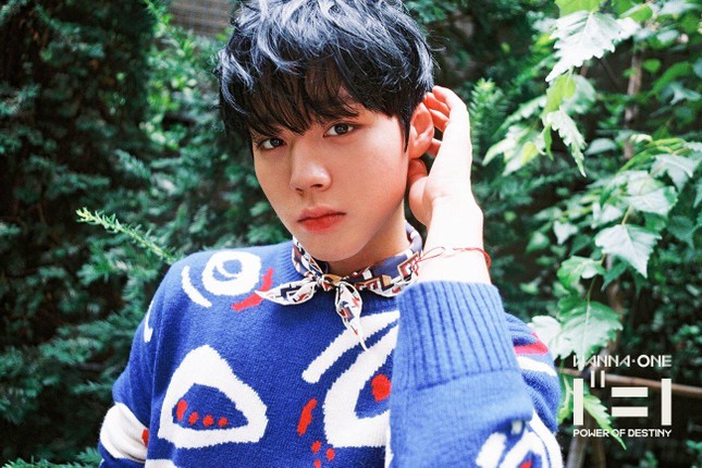 HOT: WANNA ONE đẹp mê mẩn trong bộ ảnh "nhá hàng" cho album cuối cùng "1¹¹=1" ảnh 3