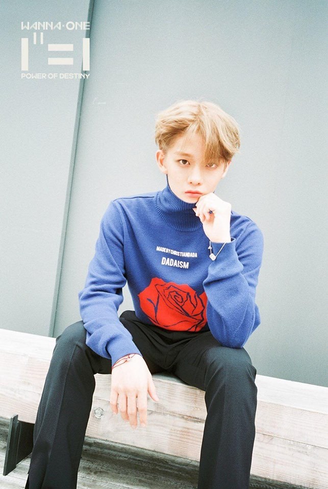 HOT: WANNA ONE đẹp mê mẩn trong bộ ảnh "nhá hàng" cho album cuối cùng "1¹¹=1" ảnh 2