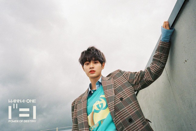 HOT: WANNA ONE đẹp mê mẩn trong bộ ảnh "nhá hàng" cho album cuối cùng "1¹¹=1" ảnh 4