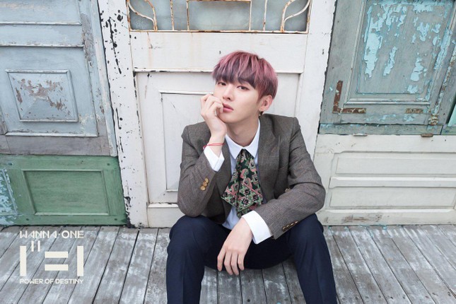 HOT: WANNA ONE đẹp mê mẩn trong bộ ảnh "nhá hàng" cho album cuối cùng "1¹¹=1" ảnh 8