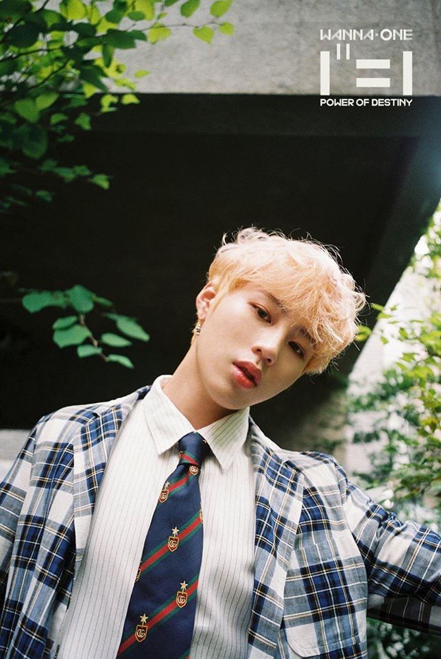 HOT: WANNA ONE đẹp mê mẩn trong bộ ảnh "nhá hàng" cho album cuối cùng "1¹¹=1" ảnh 9