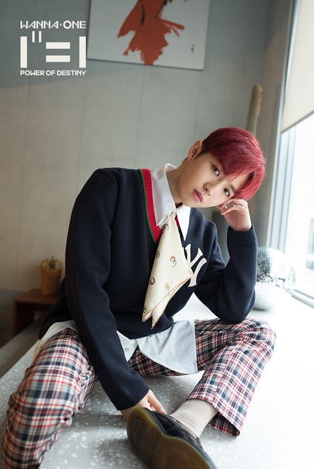 HOT: WANNA ONE đẹp mê mẩn trong bộ ảnh "nhá hàng" cho album cuối cùng "1¹¹=1" ảnh 1