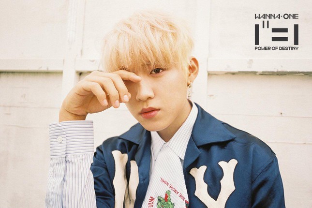 HOT: WANNA ONE đẹp mê mẩn trong bộ ảnh "nhá hàng" cho album cuối cùng "1¹¹=1" ảnh 10