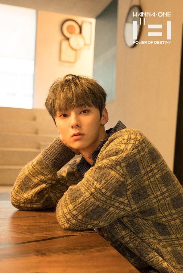 HOT: WANNA ONE đẹp mê mẩn trong bộ ảnh "nhá hàng" cho album cuối cùng "1¹¹=1" ảnh 11