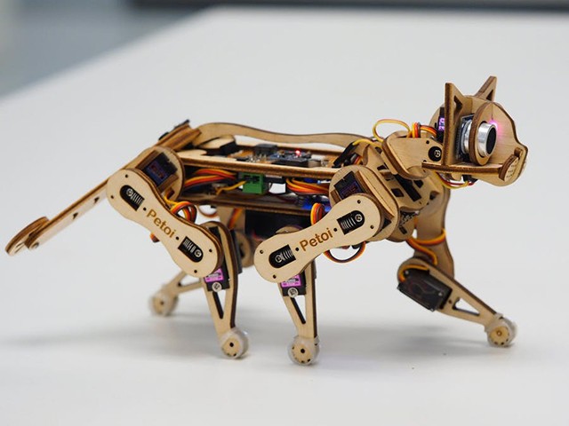 Robot mèo nhanh và nhẹ nhất thế giới - tương lai của thú cưng máy ảnh 1