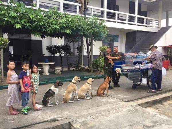 Vội gì thì vội chứ đừng vội chen hàng, đến "đại boss" đi ăn còn ý thức thế này cơ mà! ảnh 1