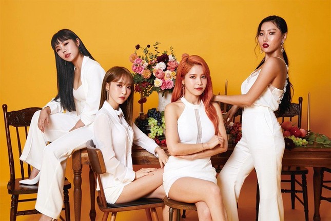 Mặc cho fan kiến nghị, công ty quản lý của MAMAMOO vẫn tiếp tục tổ chức concert như dự kiến ảnh 1