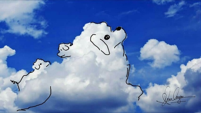 Chàng trai vẽ trên những đám mây khiến dân mạng thích thú: Nhớ tuổi thơ quá! ảnh 3