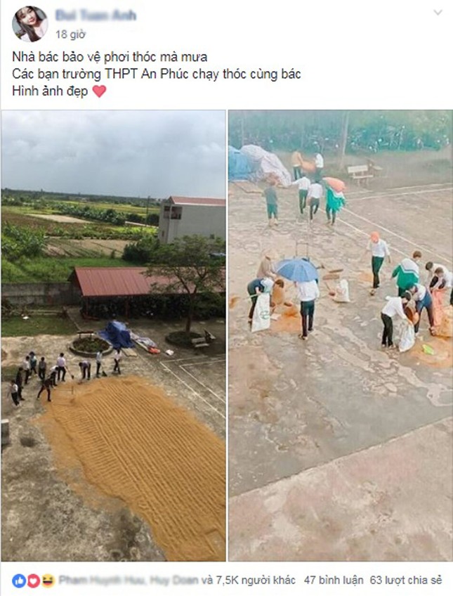 Học sinh đội mưa chạy thóc giúp bác bảo vệ giữa sân trường ảnh 1