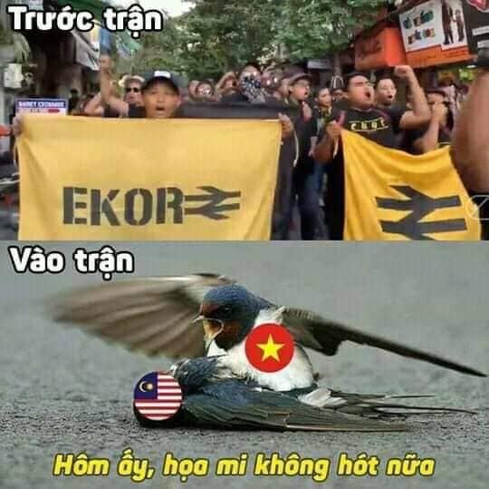 "Cơn bão" ảnh chế "phá đảo thế giới ảo" sau chiến thắng "hạ đẹp" Malaysia của đội tuyển Việt Nam ảnh 8