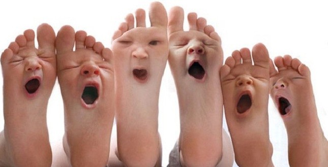 Bạn có biết, cái ngáp của chúng mình ẩn chứa rất nhiều câu chuyện ngộ nghĩnh đấy! ảnh 3