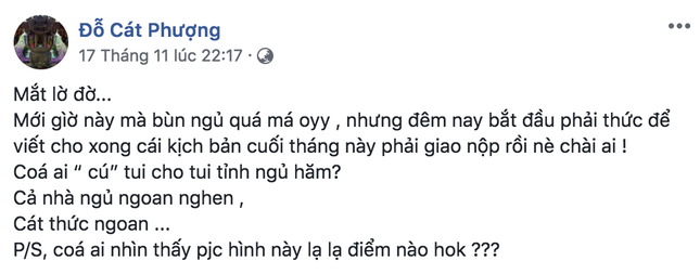 Cát Phượng cứ chối tin nhắn là bịa đặt nhưng dân mạng lại soi ra điểm bất thường này ảnh 4