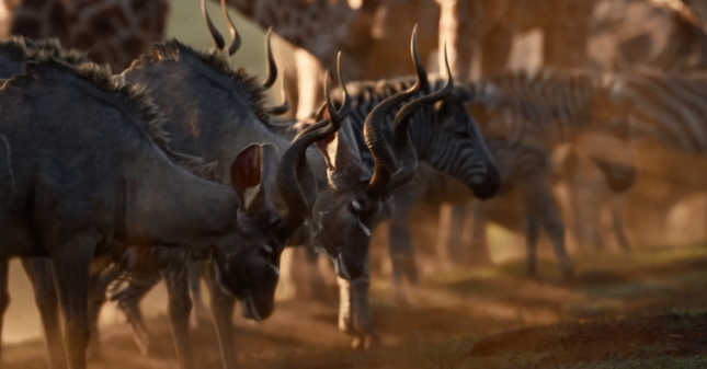 "Lion King" bản live-action tung trailer: Tưởng không hay mà hay không tưởng! ảnh 5