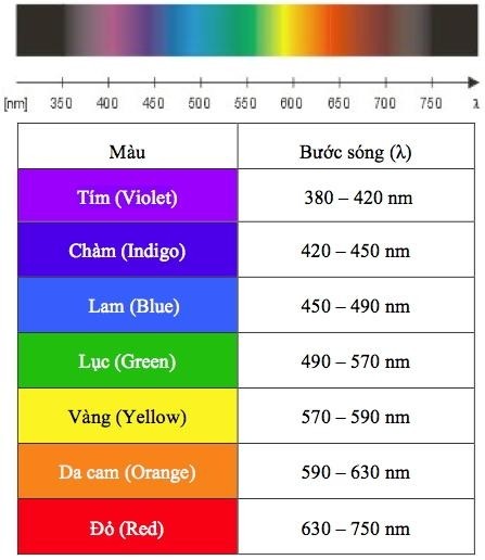 Bạn có biết: Màu sắc cũng có sóng năng lượng khiến tâm trạng phấn chấn hoặc stress hơn ảnh 2