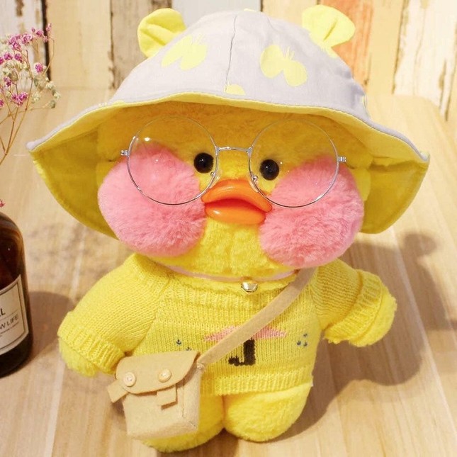 Xuất hiện chú vịt bông "má hồng môi trề" dễ thương đốn tim cộng đồng mạng ảnh 4