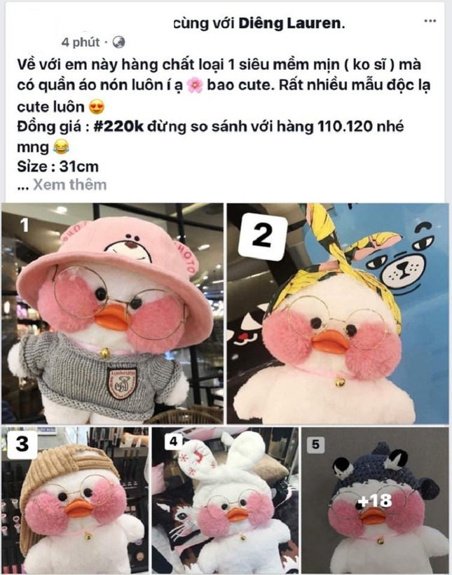 Xuất hiện chú vịt bông "má hồng môi trề" dễ thương đốn tim cộng đồng mạng ảnh 14