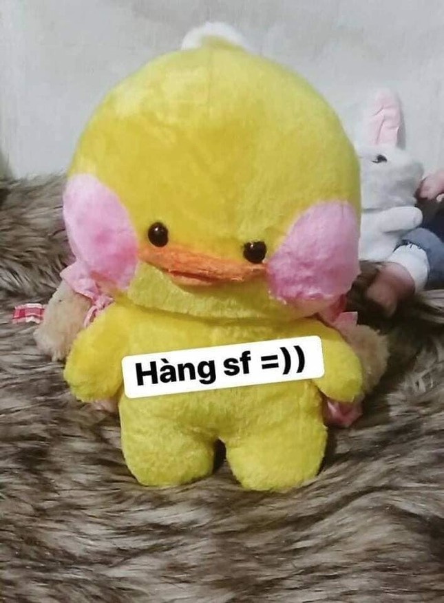 Nhan sắc thật của chú vịt bông hot nhất MXH: Đúng là hình ảnh chỉ mang tính minh hoạ! ảnh 5