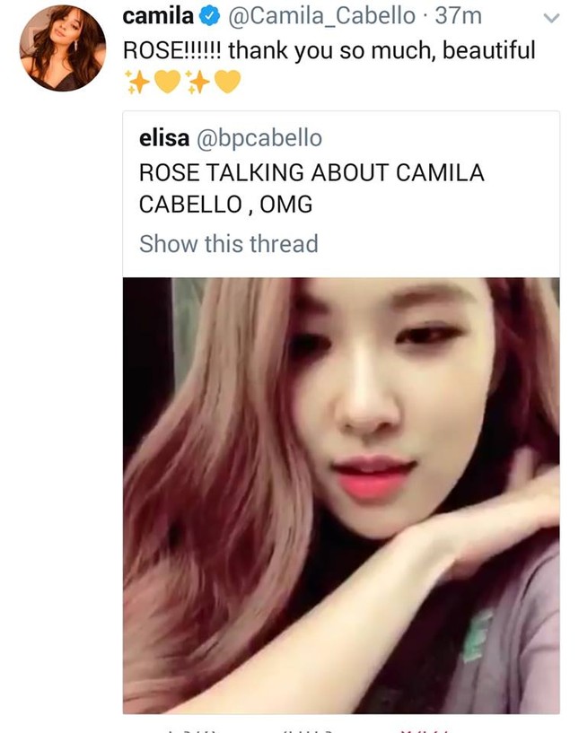 Hàng loạt idol thể hiện "Havana" nhưng chỉ Joy và Rosé mới lọt "mắt xanh" Camila Cabello ảnh 2