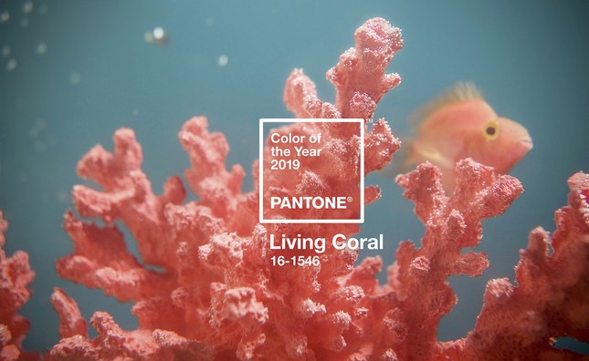 Sắc cam của những rạn san hô - Living Coral là màu sắc chính thức của năm 2019 ảnh 1