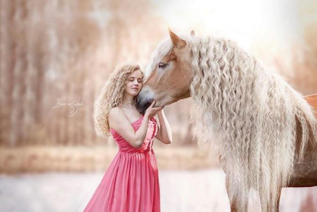 Chú ngựa trở thành sao trên mạng xã hội nhờ có bờm đẹp như mái tóc nàng Rapunzel ảnh 3