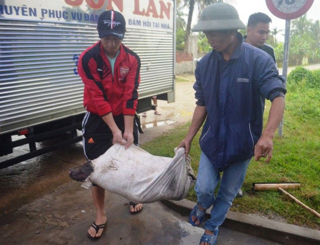 Dựng rạp, mổ lợn xem chung kết AFF cup tại nhà Văn Đức, Quang Hải ảnh 7