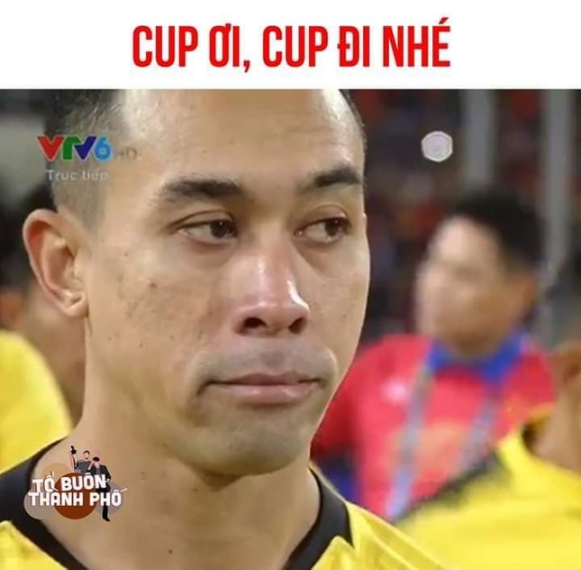 Ảnh chế "càn quét" MXH sau chiến thắng nức lòng vô địch AFF Cup 2018 của ĐT Việt Nam ảnh 11