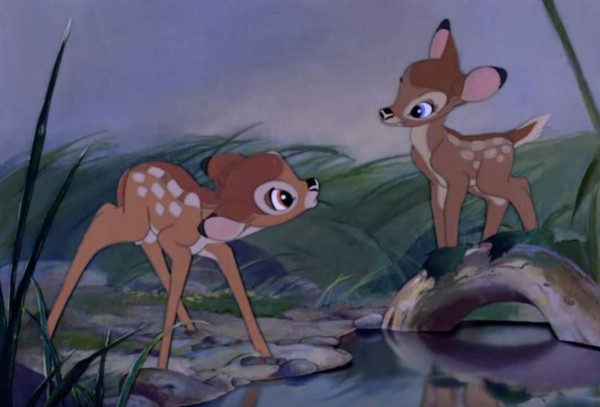 Giết nai phi pháp, người đàn ông phải xem hoạt hình Bambi trong tù ảnh 1