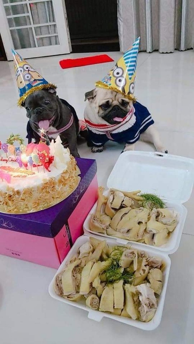 Chàng trai mua bánh kem, thịt gà để tổ chức sinh nhật cho cún cưng gây tranh cãi ảnh 1