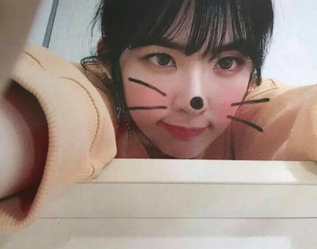 Một bức ảnh khiến fan hoang mang không biết đây là Irene (Red Velvet) hay Jisoo (Black Pink)? ảnh 1