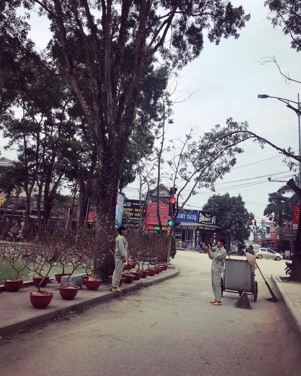 Khoảnh khắc ấm lòng ngày 29 Tết: Hai cô lao công chụp ảnh bên hoa đào sau khi dọn sạch phố ảnh 1