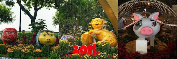 Linh vật ấn tượng năm Hợi: Dàn heo màu hồng múa quạt giữa đường phố nước Úc ảnh 1