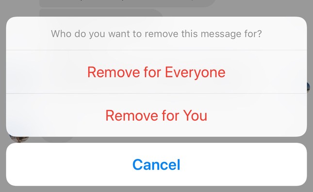 Facebook Messenger đã cập nhật tính năng "unsend": Nhanh tay thu hồi tin nhắn trong 10 phút! ảnh 1