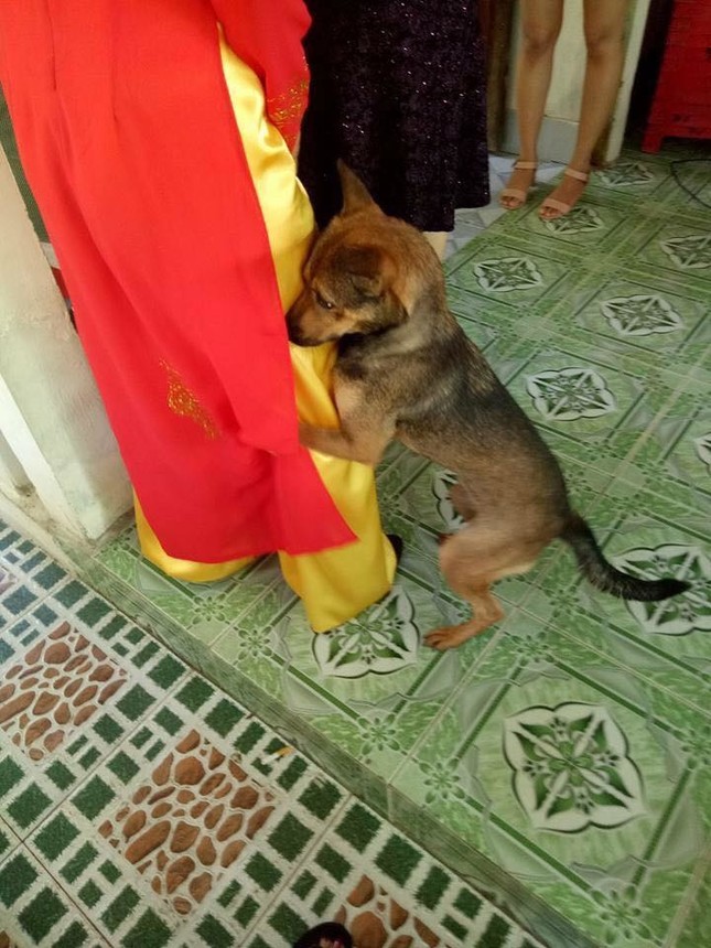 Gái lớn thì phải lấy chồng, họ hàng ai cũng vui mừng ngoại trừ "anh bạn" này ảnh 1