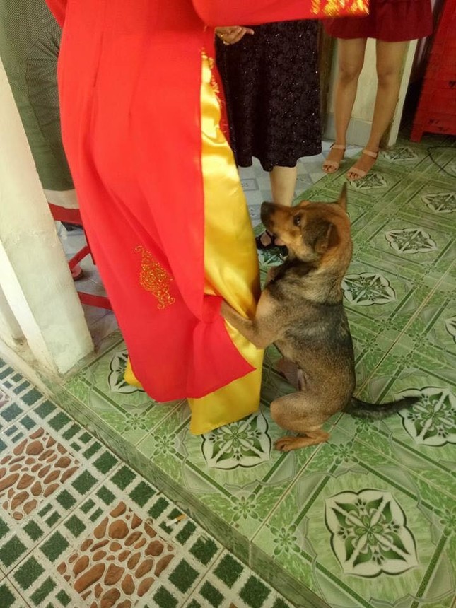 Gái lớn thì phải lấy chồng, họ hàng ai cũng vui mừng ngoại trừ "anh bạn" này ảnh 2