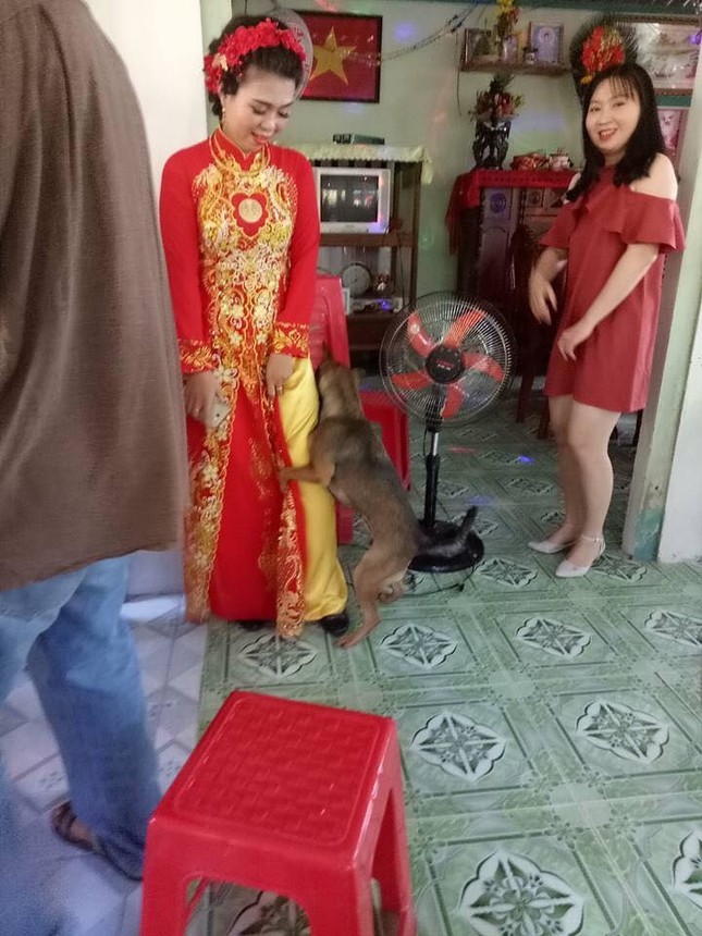 Gái lớn thì phải lấy chồng, họ hàng ai cũng vui mừng ngoại trừ "anh bạn" này ảnh 3