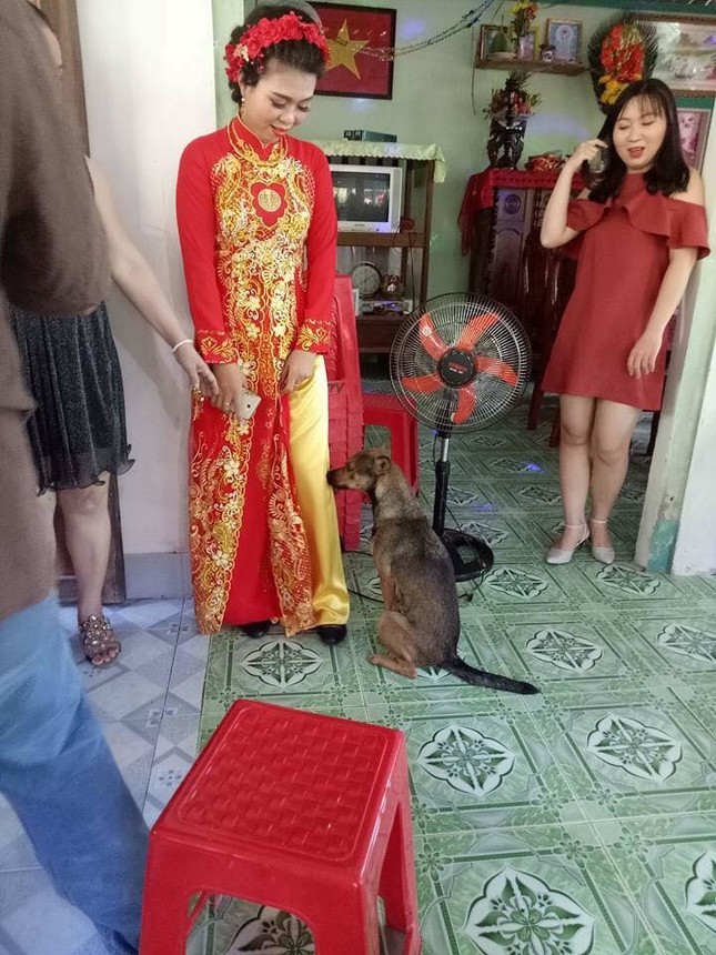 Gái lớn thì phải lấy chồng, họ hàng ai cũng vui mừng ngoại trừ "anh bạn" này ảnh 4
