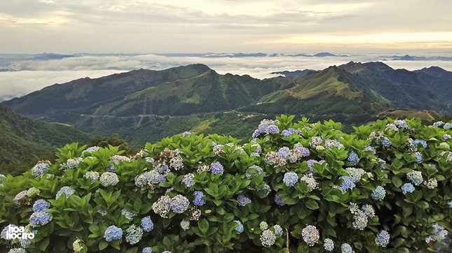 Núi Mẫu Sơn "bí ẩn": Địa điểm lý tưởng cho những chuyến khám phá của giới trẻ ảnh 7