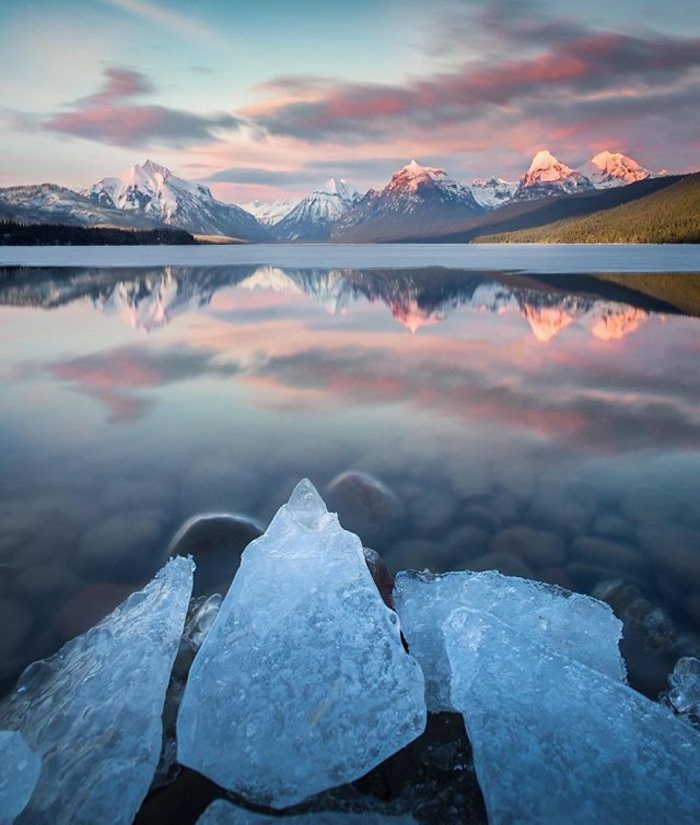 Những bức ảnh ấn tượng nhất trong cuộc thi nhiếp ảnh trên Instagram của National Geographic ảnh 10