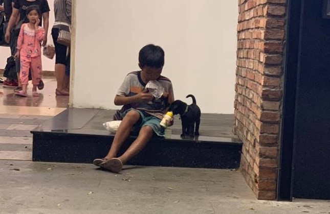 Cậu bé ăn xin và chú cún nhỏ: Khoảnh khắc lay động triệu trái tim với một tình bạn đẹp ảnh 3