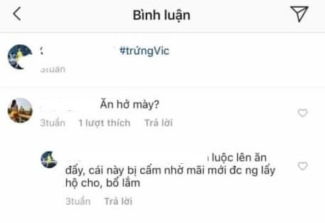 Luộc trứng rùa biển quý hiếm ăn còn "khoe" lên MXH, cô gái có nguy cơ bị phạt 50 triệu đồng? ảnh 3