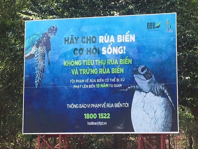 Luộc trứng rùa biển quý hiếm ăn còn "khoe" lên MXH, cô gái có nguy cơ bị phạt 50 triệu đồng? ảnh 4
