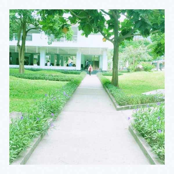 Ngắm những góc nhỏ thanh xuân đầy lãng mạn qua bộ ảnh của sinh viên ĐH Tôn Đức Thắng ảnh 2