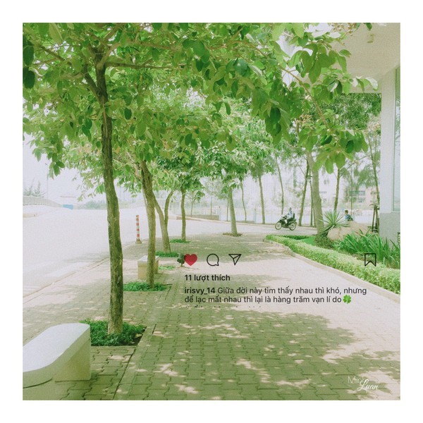 Ngắm những góc nhỏ thanh xuân đầy lãng mạn qua bộ ảnh của sinh viên ĐH Tôn Đức Thắng ảnh 3