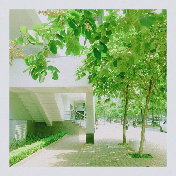 Ngắm những góc nhỏ thanh xuân đầy lãng mạn qua bộ ảnh của sinh viên ĐH Tôn Đức Thắng ảnh 6
