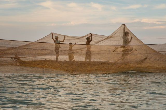 Tác phẩm của nhiếp ảnh gia người Việt lọt Top 12 bức đẹp nhất trên National Geographic ảnh 6