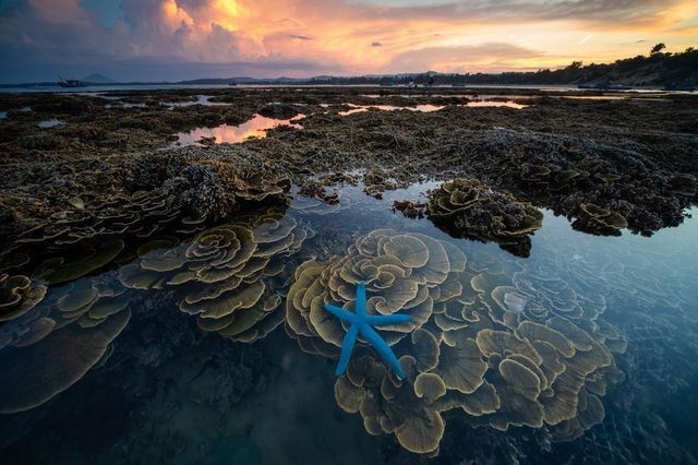 Tác phẩm của nhiếp ảnh gia người Việt lọt Top 12 bức đẹp nhất trên National Geographic ảnh 7